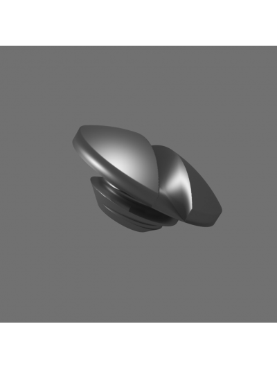 Bending Section Screw for Olympus