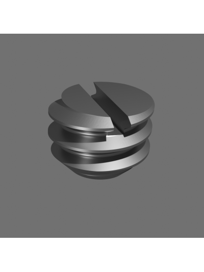 Light Bundle Set Screw (Olympus)